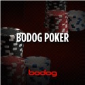 bodog-poker-logo