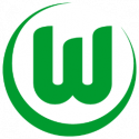 VfL-Wolfsburg-icon-256